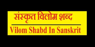Vilom Shabd In Sanskrit