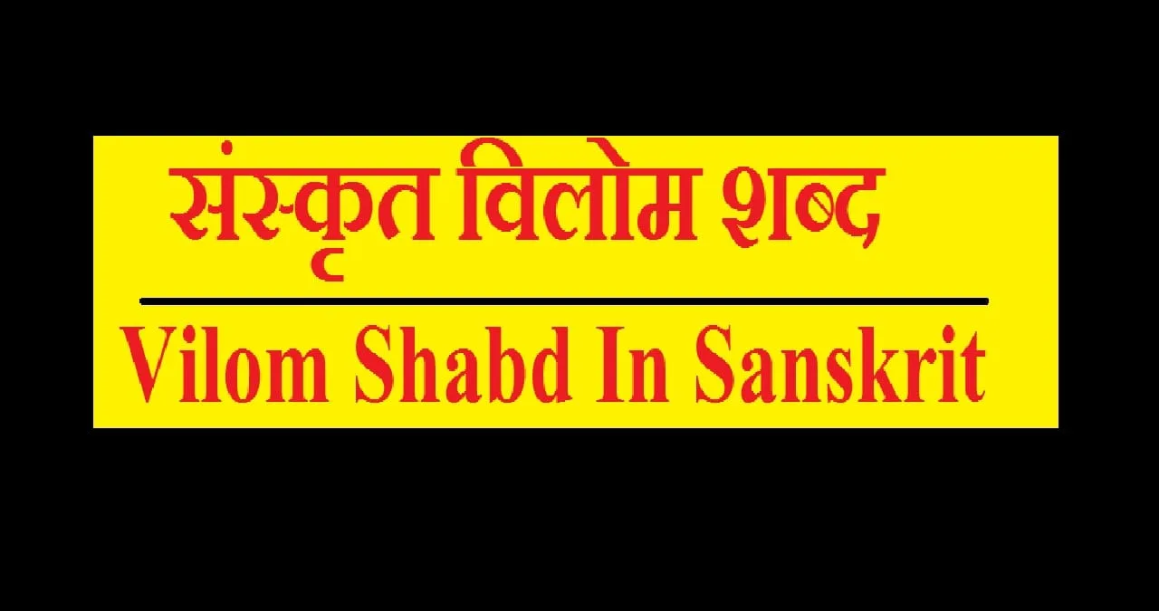 Vilom Shabd In Sanskrit