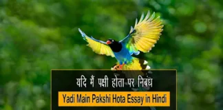 Yadi Main Pakshi Hota Essay in Hindi