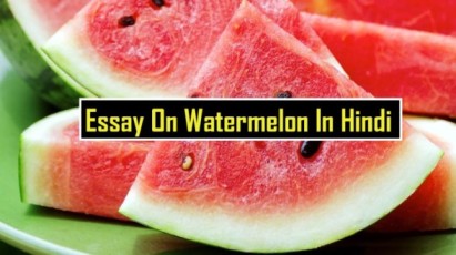 Essay-On-Watermelon-In-Hindi