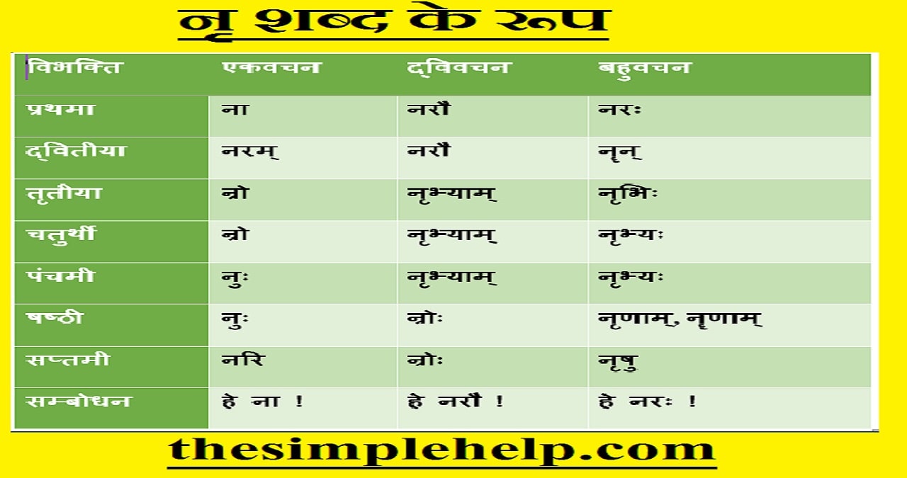Nra Shabd Roop in Sanskrit