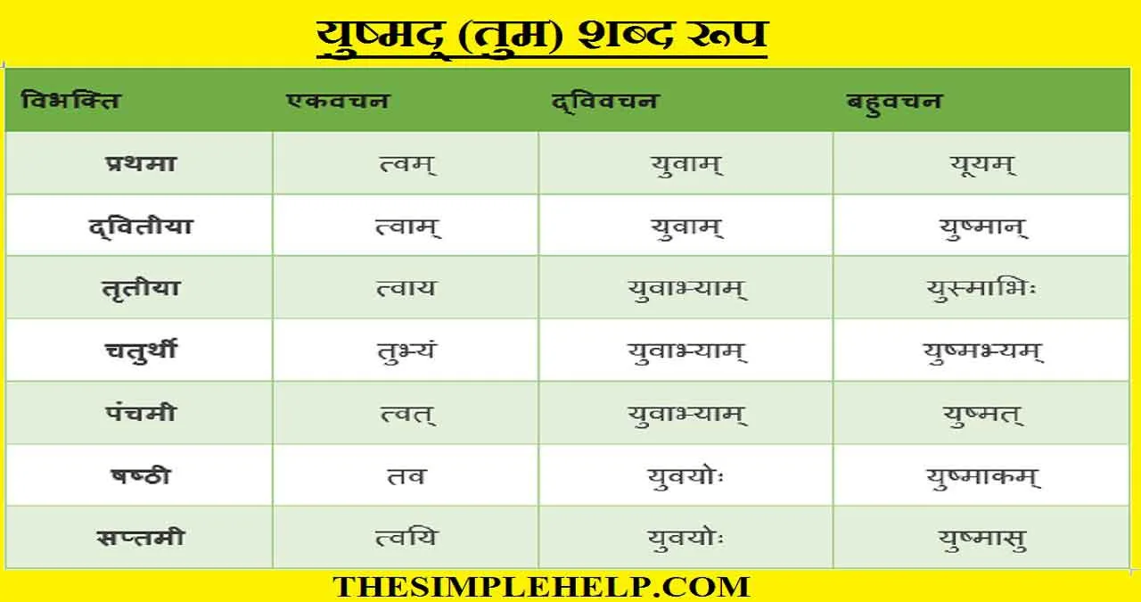 Yusmad Shabd Roop in Sanskrit