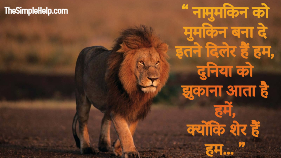 Lion Status in Hindi