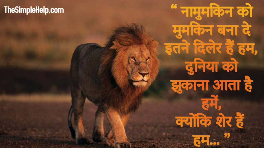 151-best-lion-status-in-hindi