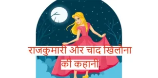 Rajkumari-And-Moon-Toy-Story-In-Hindi-