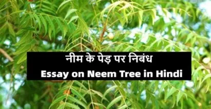 Essay-on-Neem-Tree-in-Hindi