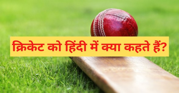 Cricket Ko Hindi Me Kya Kahate Hain