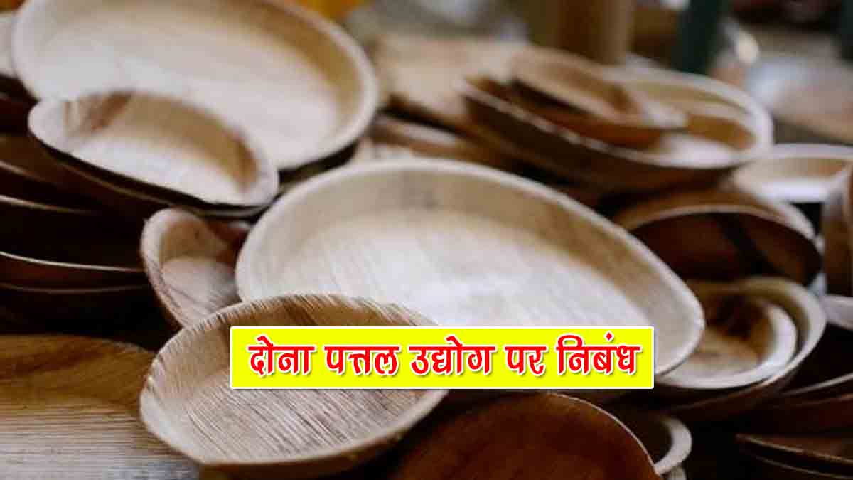 Essay on Dona Pattal Industry in Hindi